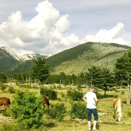 Apartment Ante Seline