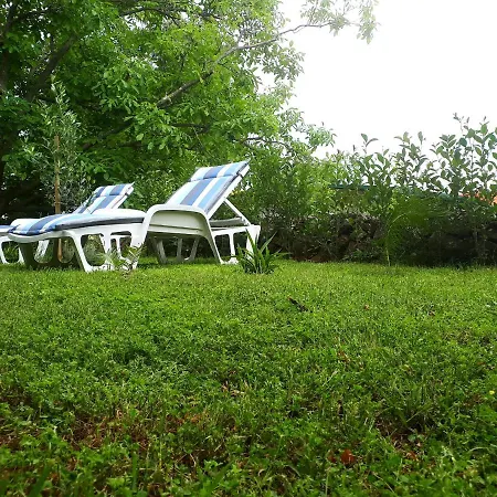 Apartman Ante Seline