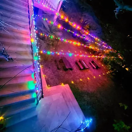 Ante Apartment Seline