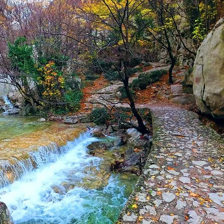 Ante דירה סלינה