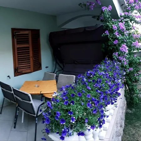 Apartment Ante *