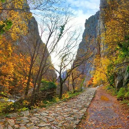 Ante شقة سيلين