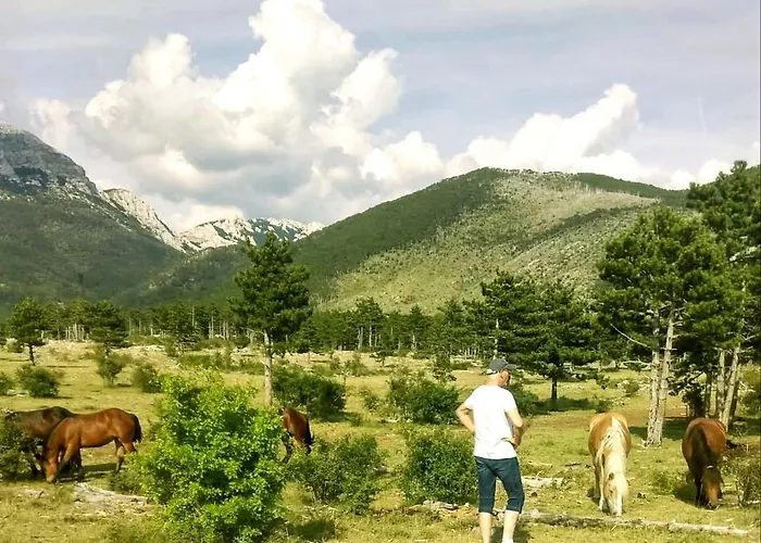 Appartamento Ante Seline