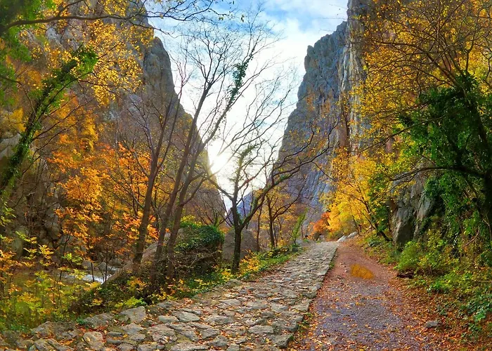 Ante Apartman Seline